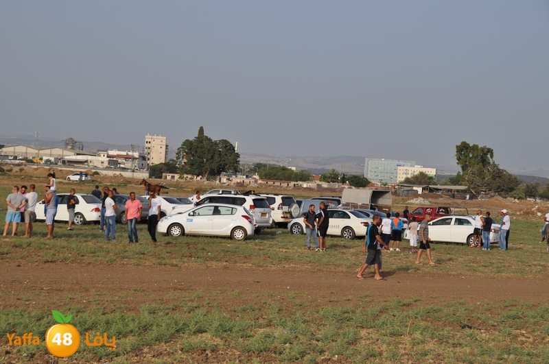 kheil sebaq (32).JPG